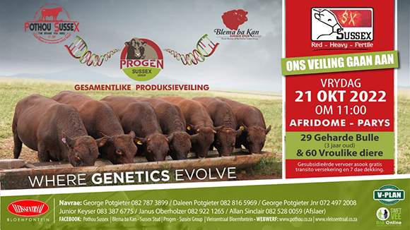 Veiling / Auction: 21 Oktober 2022 11:00 Veiling / Auction: 21 Oktober 2022 11:00