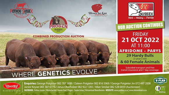 Veiling / Auction: 21 Oktober 2022 11:00 Veiling / Auction: 21 Oktober 2022 11:00
